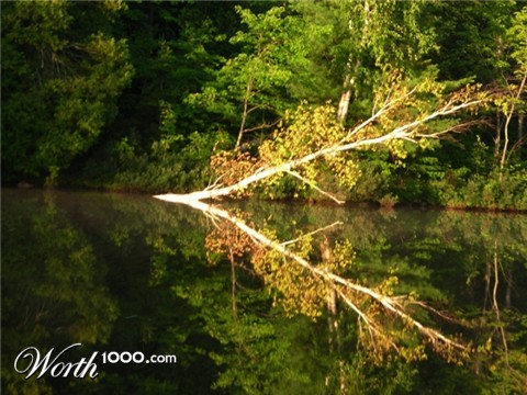Photography by purduefan01