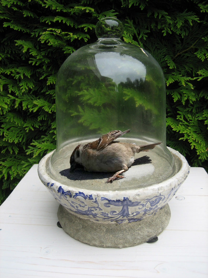 Photoshop Design by tasja71 for DesignCrowd (Community Contests) | Design #8960501