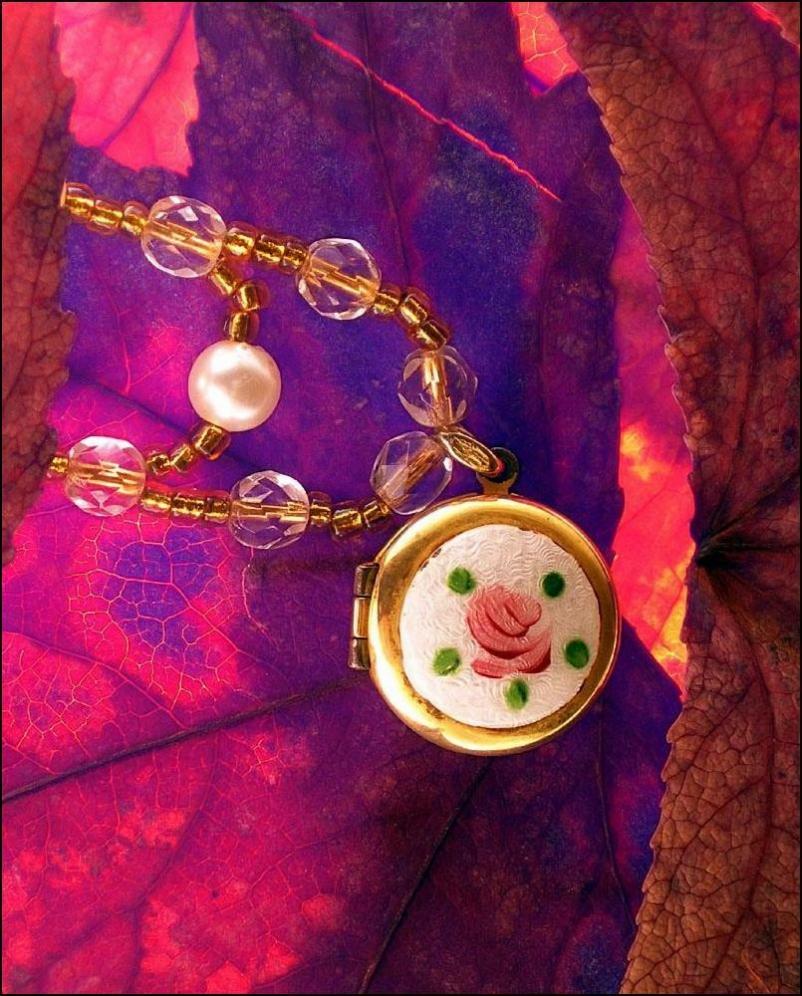 Photographie par Isabella2006 pour DesignCrowd (Community Contests) | Design #8957558