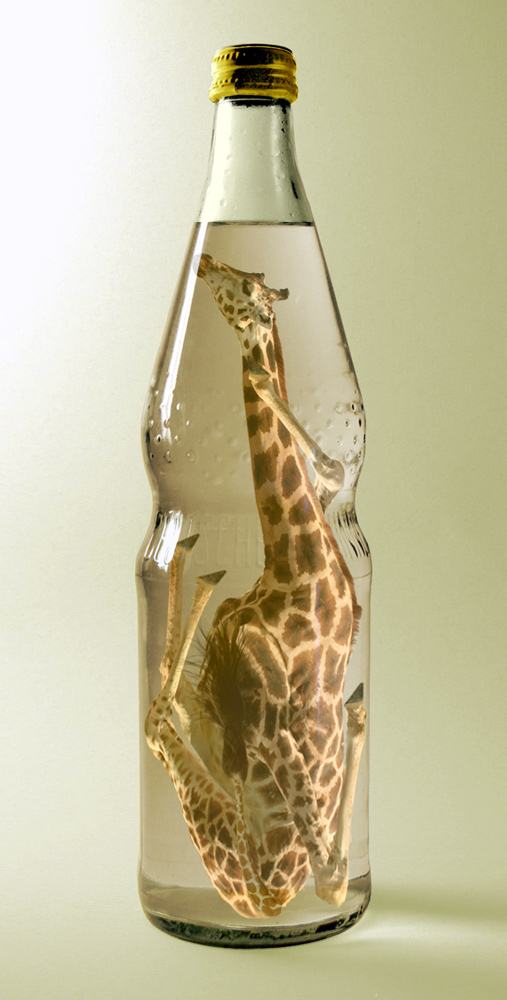 Design Photoshop par just-me-morgana pour DesignCrowd (Community Contests) | Design #8960418