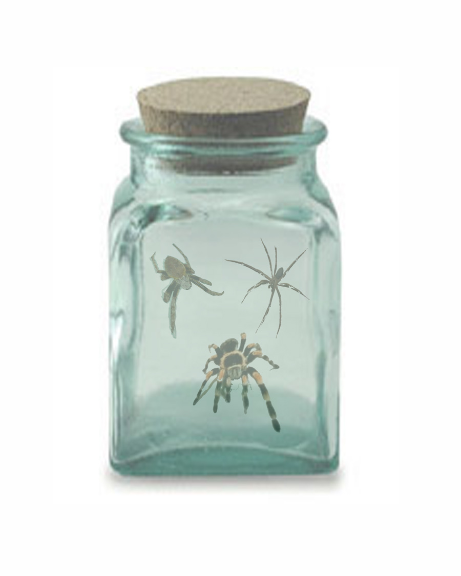 Photoshop Design by nagrom2103 for DesignCrowd (Community Contests) | Design #8960461