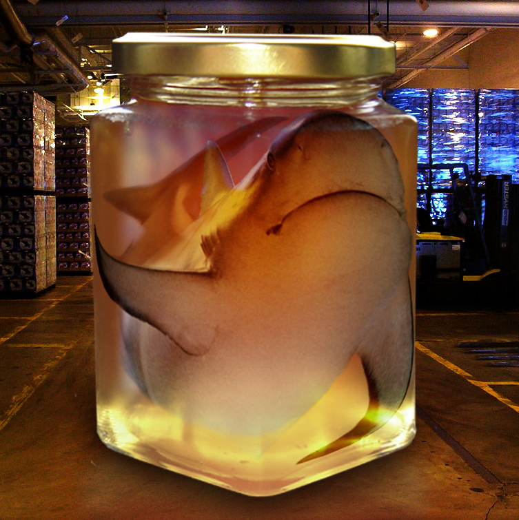 Photoshop-Design von kempony für DesignCrowd (Community Contests) | Design #8960526