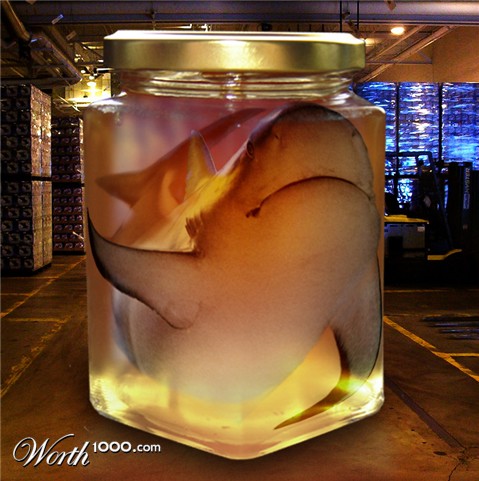 Photoshop Design by kempony