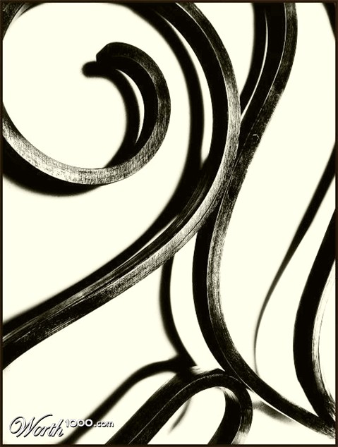 Photography by Kobresia