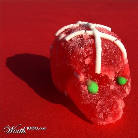 Photography by sausirhi