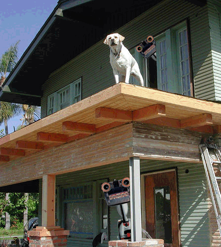 Photoshop-Design von Nusbaum für DesignCrowd (Community Contests) | Design #8960216