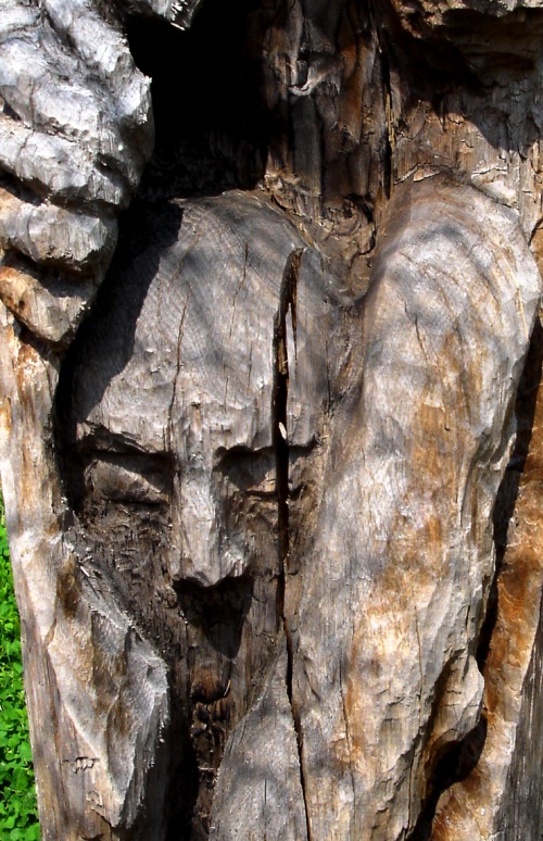 Photography by stayceejae for DesignCrowd (Community Contests) | Design #8958962