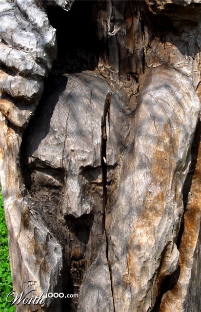 Photography by stayceejae