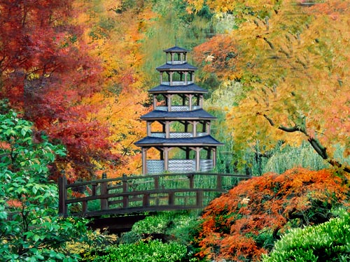 Photoshop Design by shamoon for DesignCrowd (Community Contests) | Design #8959785