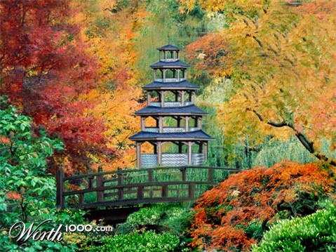 Photoshop Design by shamoon