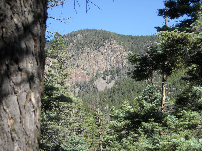 Photography by tdriling for DesignCrowd (Community Contests) | Design #8957845