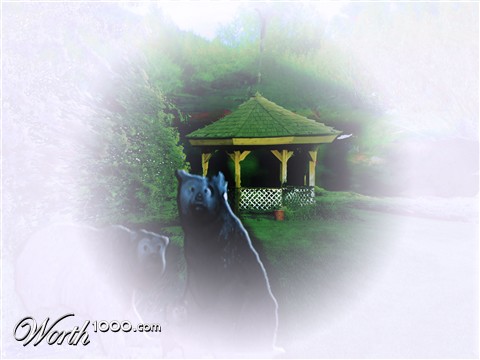 Photoshop Design by grmy01