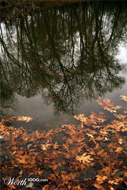 Photography by Chantal192