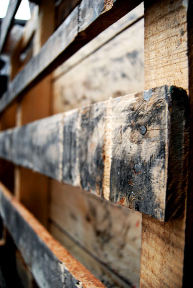 Photographie par amivox pour DesignCrowd (Community Contests) | Design #8958965