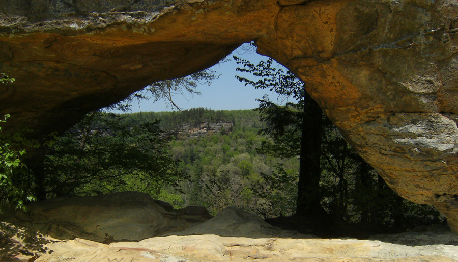 Photography by 12Step for DesignCrowd (Community Contests) | Design #8957868