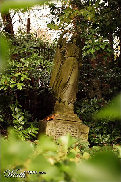 Photography by itzhak