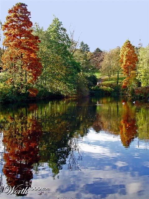 Photography by splong