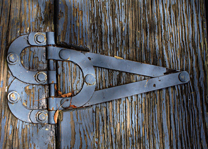 Photography by petsitter for DesignCrowd (Community Contests) | Design #8958990