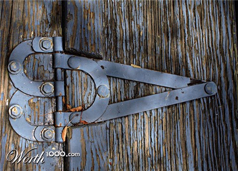 Photography by petsitter