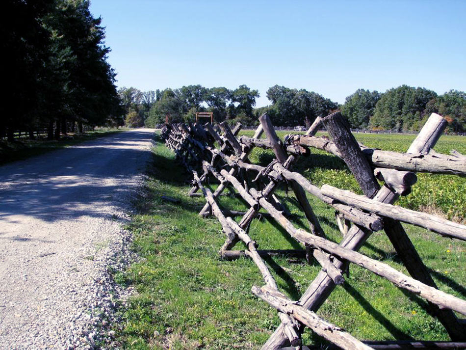 Photography by rocky0009 for DesignCrowd (Community Contests) | Design #8959005