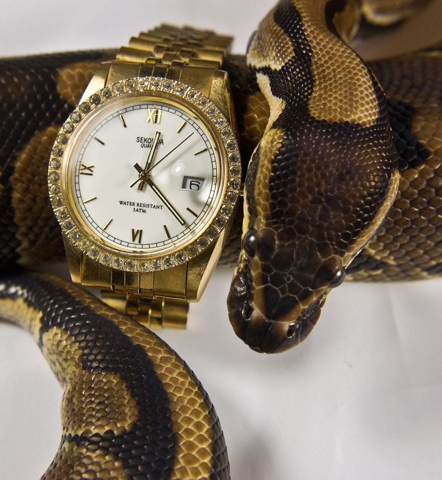 Fotografie von Supagray für DesignCrowd (Community Contests) | Design #8957595