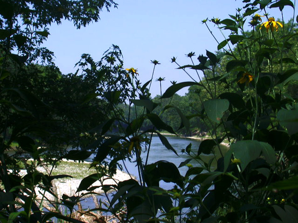 Photography by rocky0009 for DesignCrowd (Community Contests) | Design #8957860