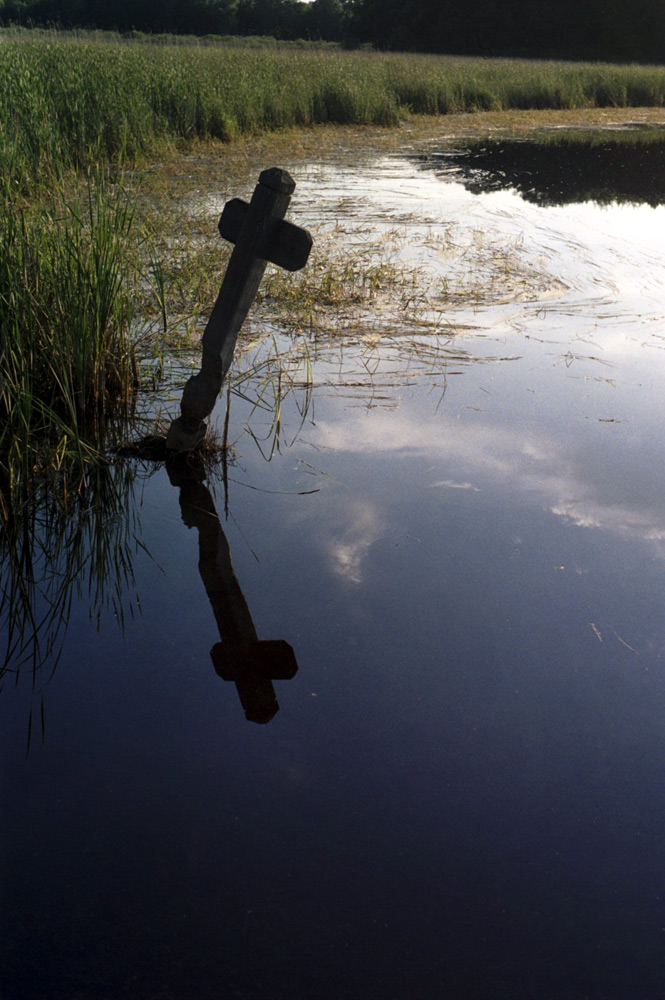 Photography by Klaser for DesignCrowd (Community Contests) | Design #8959490