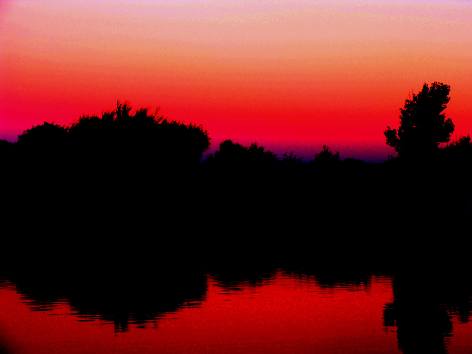 Fotografie von dimwit91 für DesignCrowd (Community Contests) | Design #8959578