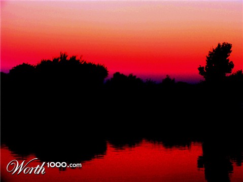 Photography by dimwit91