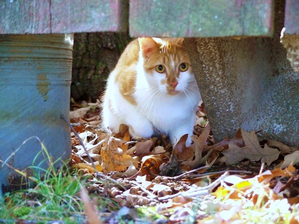 Photography by kanucme for DesignCrowd (Community Contests) | Design #8957903