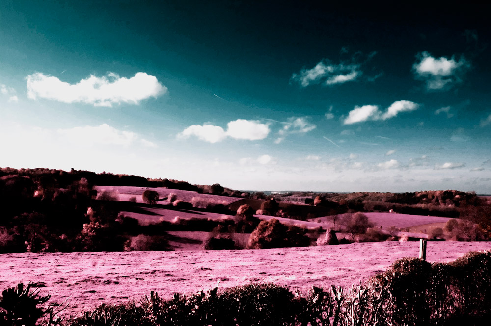 Photography by Roel1969 for DesignCrowd (Community Contests) | Design #8959947