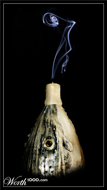 Photography by Anabole