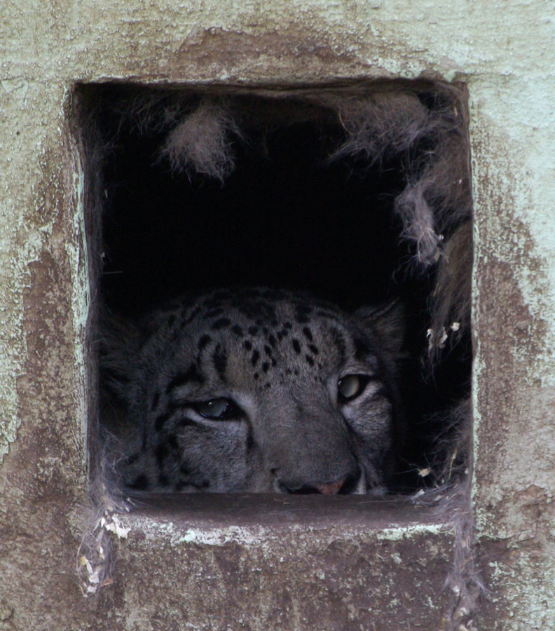 Photographie par Rvannith pour DesignCrowd (Community Contests) | Design #8957892