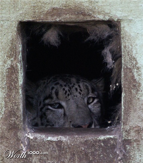 Photography by Rvannith