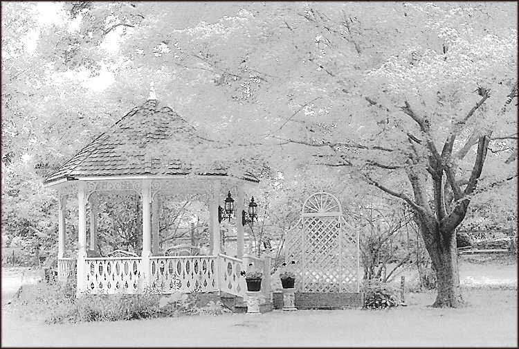 Photography by petsitter for DesignCrowd (Community Contests) | Design #8959937