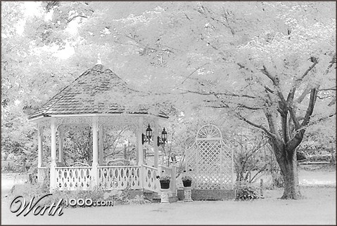 Photography by petsitter