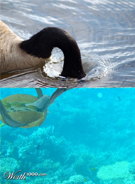 Photoshop Design by bicyclewilli