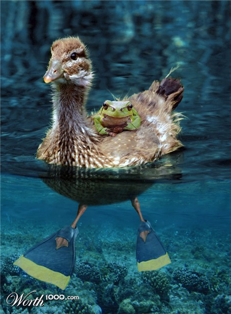 Photoshop Design by FairMagda