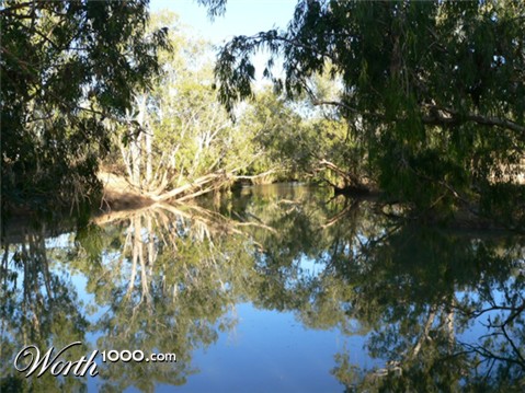 Photography by Swaggers