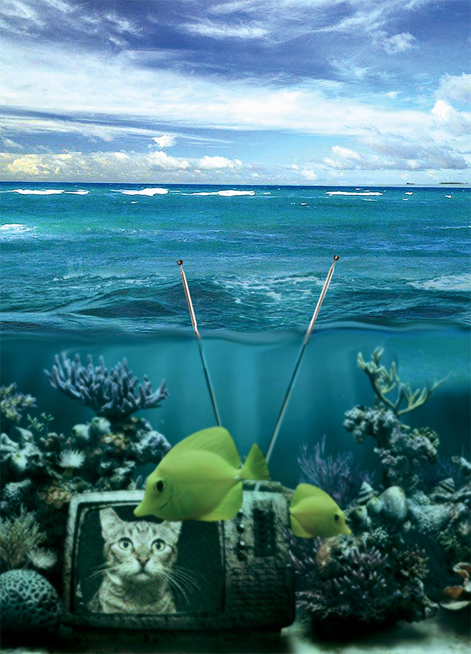 Diseño de Photoshop por Mandrak para DesignCrowd (Community Contests) | Diseño #8959645