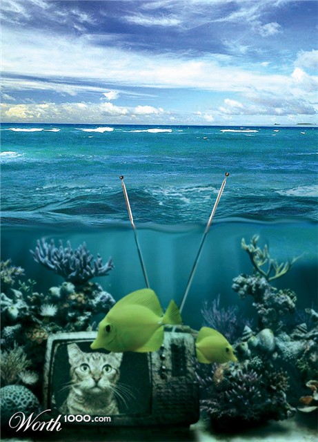 Photoshop Design by Mandrak