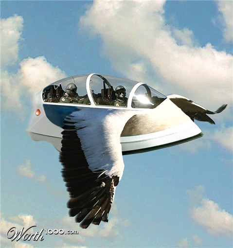 Photoshop Design by Mandrak