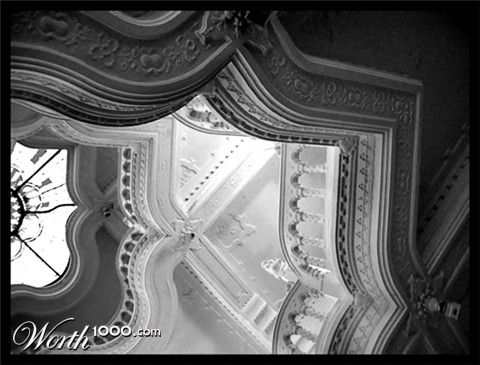 Photography by momooo