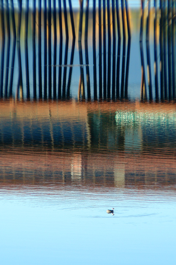 Photography by ljvgtj for DesignCrowd (Community Contests) | Design #8959494