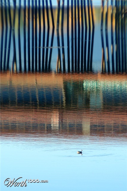 Photography by ljvgtj