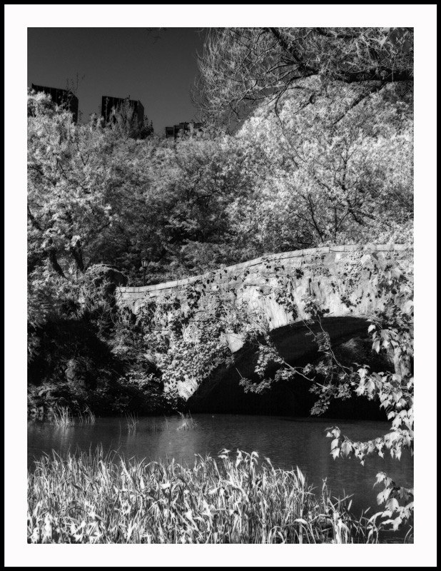 Photography by Limitchik for DesignCrowd (Community Contests) | Design #8959927