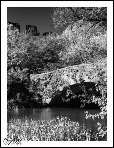 Photography by Limitchik