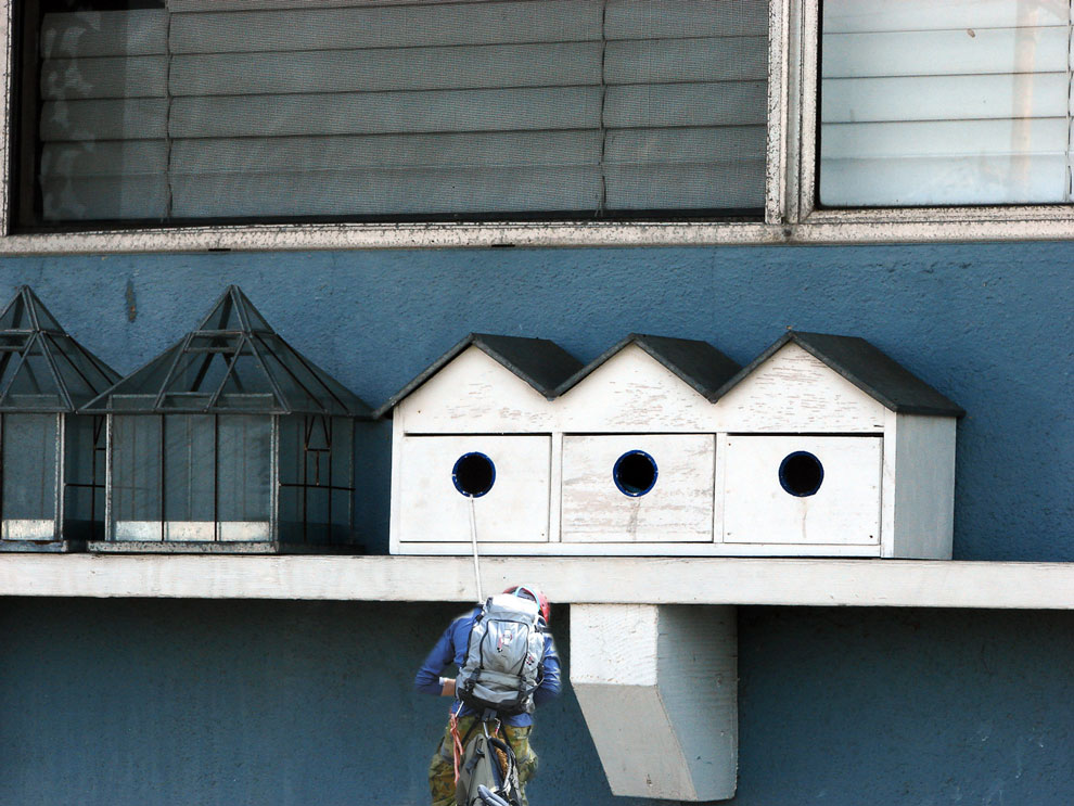 Photoshop-Design von cemaydin für DesignCrowd (Community Contests) | Design #8959214