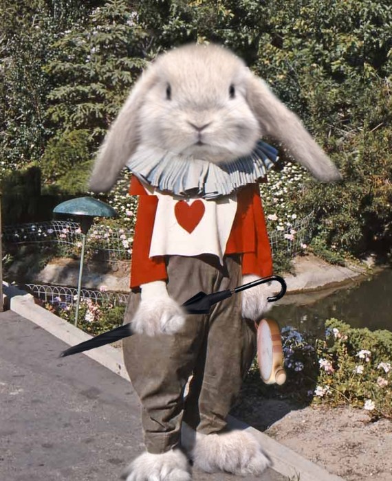 Photoshop Design by anacleto for DesignCrowd (Community Contests) | Design #8958059