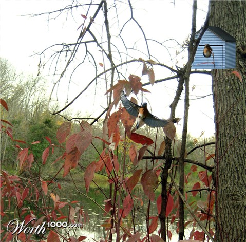 Photoshop Design by rthul2413